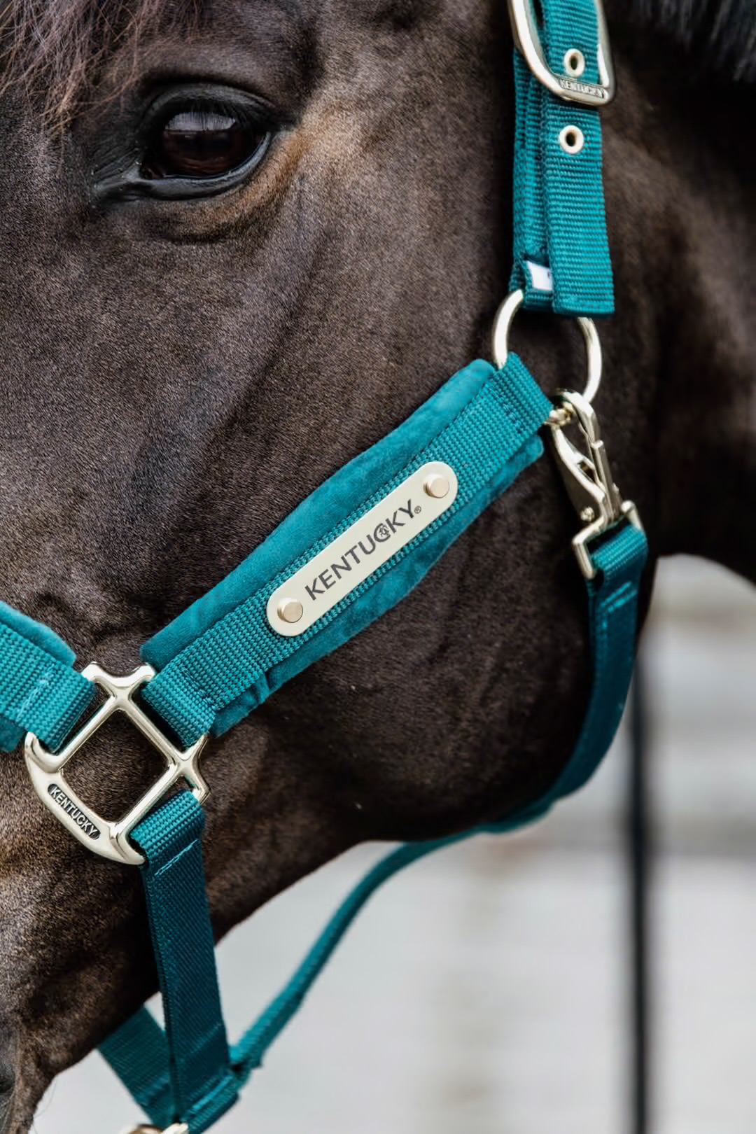 KENTUCKY  Grimma Velvet Emerald - 4