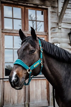 KENTUCKY  Grimma Velvet Emerald