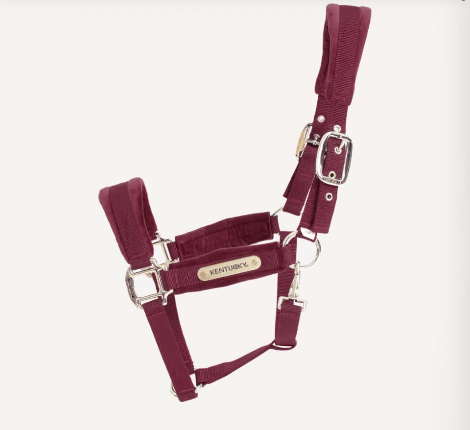 KENTUCKY  Grimma Velvet Bordeaux