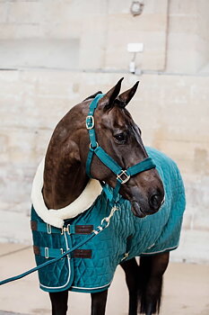 KENTUCKY  Grimskaft 2 m Emerald