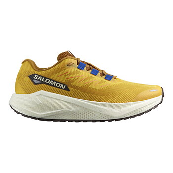 Salomon Aero Blaze 3 Grvl M
