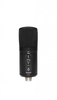 USB Double Condencer Microphone