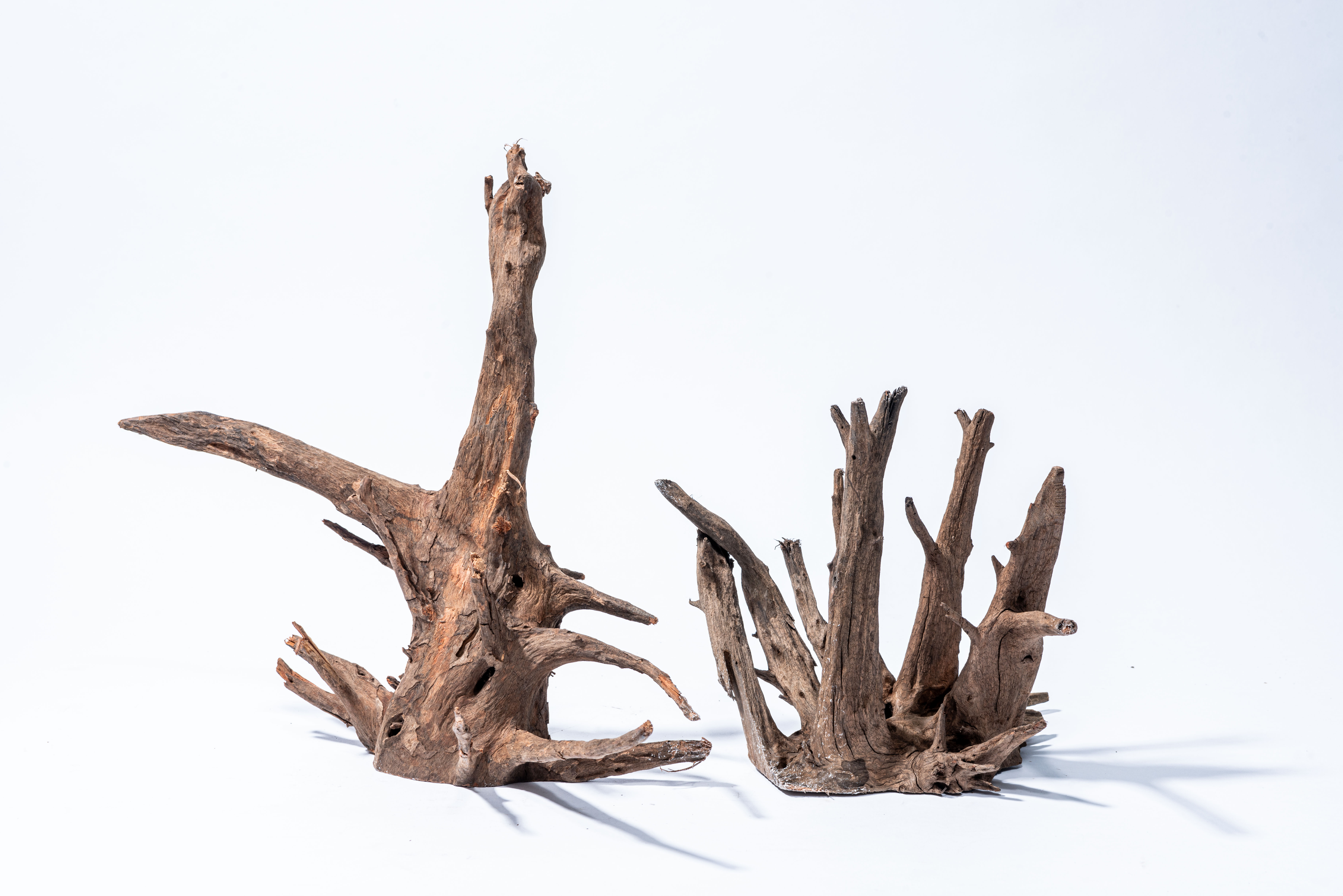 Aquadeco Corbo-Root XL 50-70cm - 2
