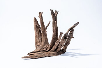 Aquadeco Corbo-Root XL 50-70cm