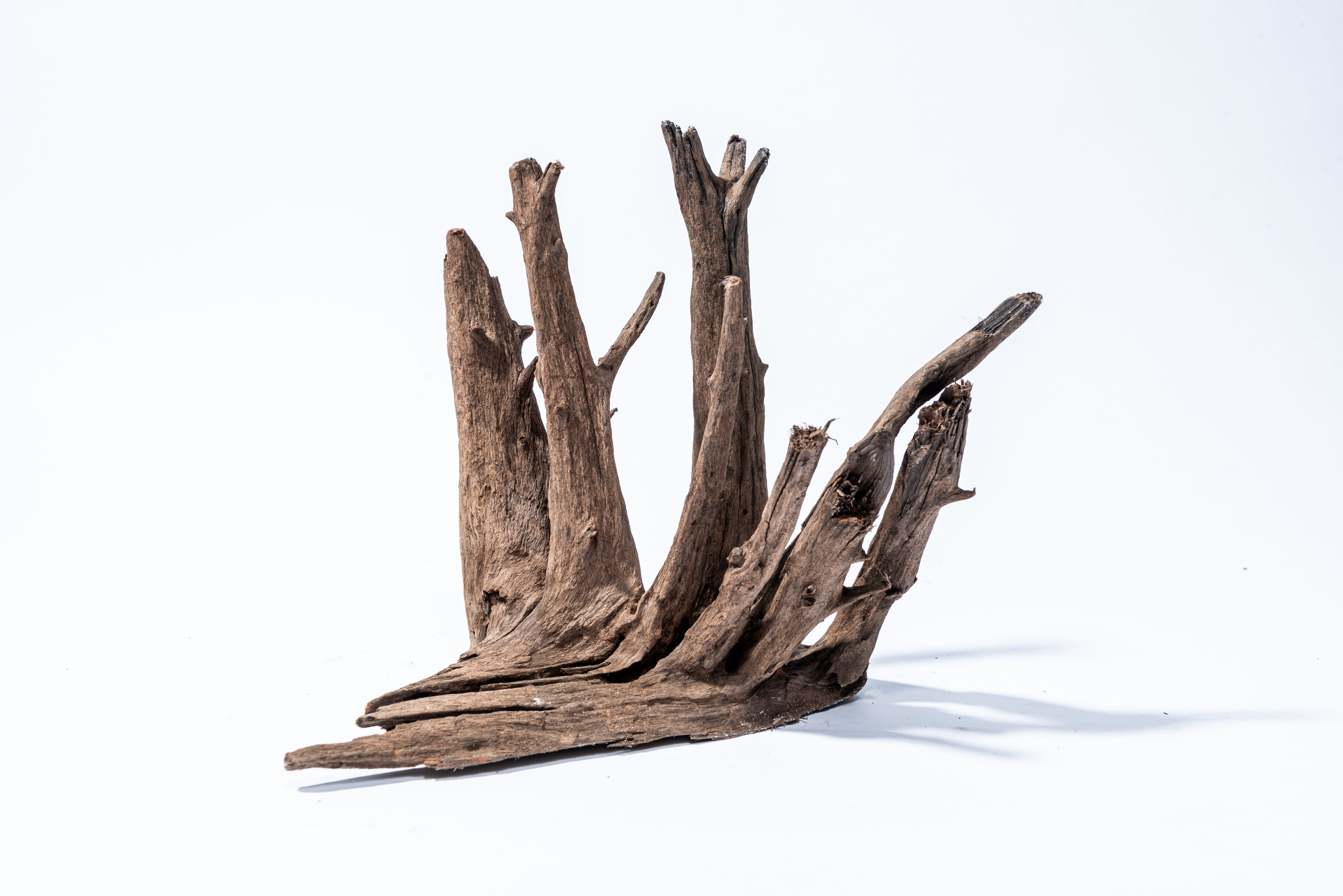 Aquadeco Corbo-Root XS 10-20cm