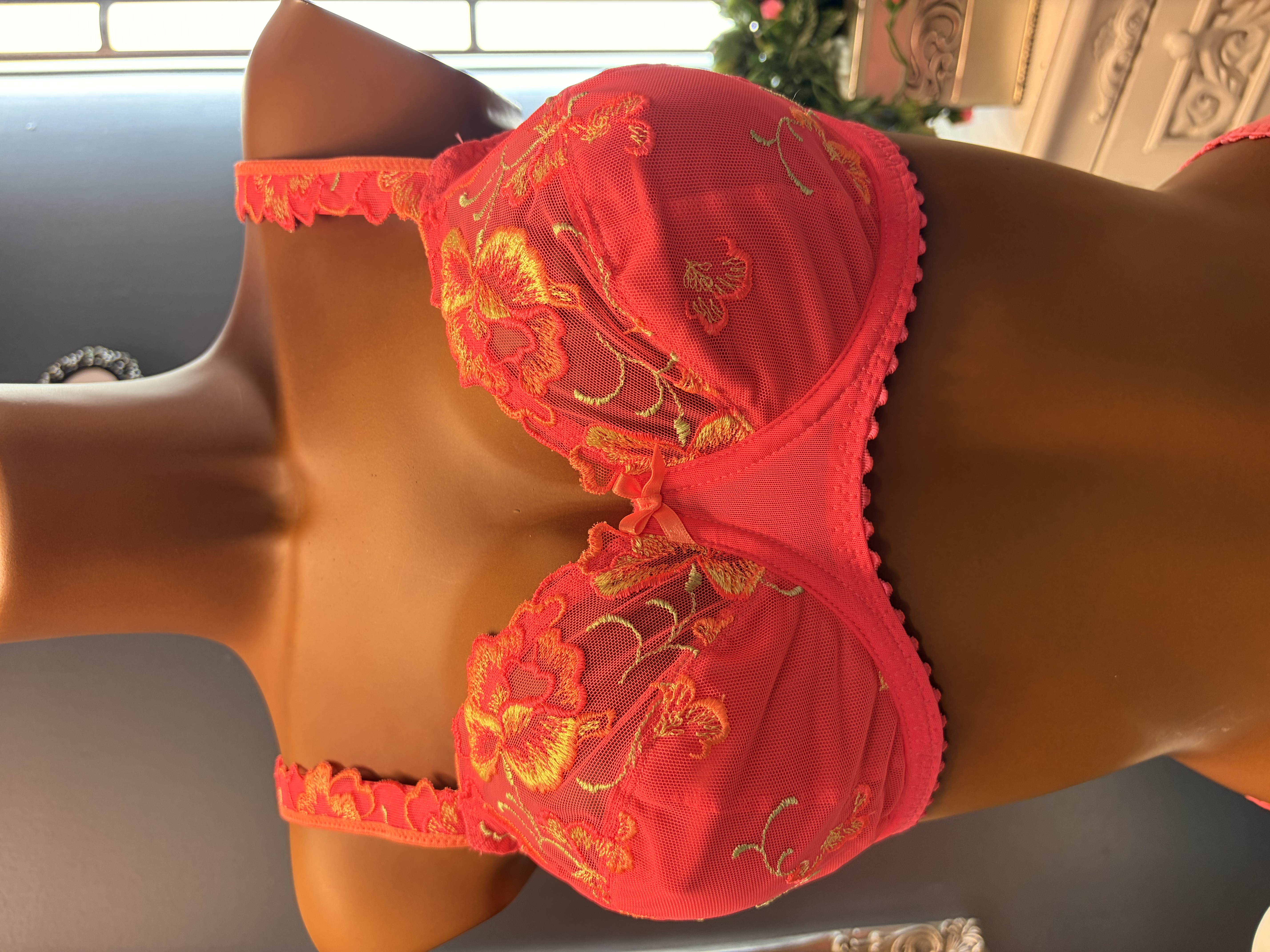 PRIMA DONNA DEVDAHA FULL CUP - 2