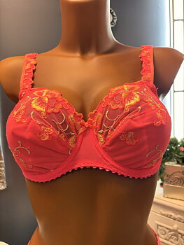 PRIMA DONNA DEVDAHA FULL CUP