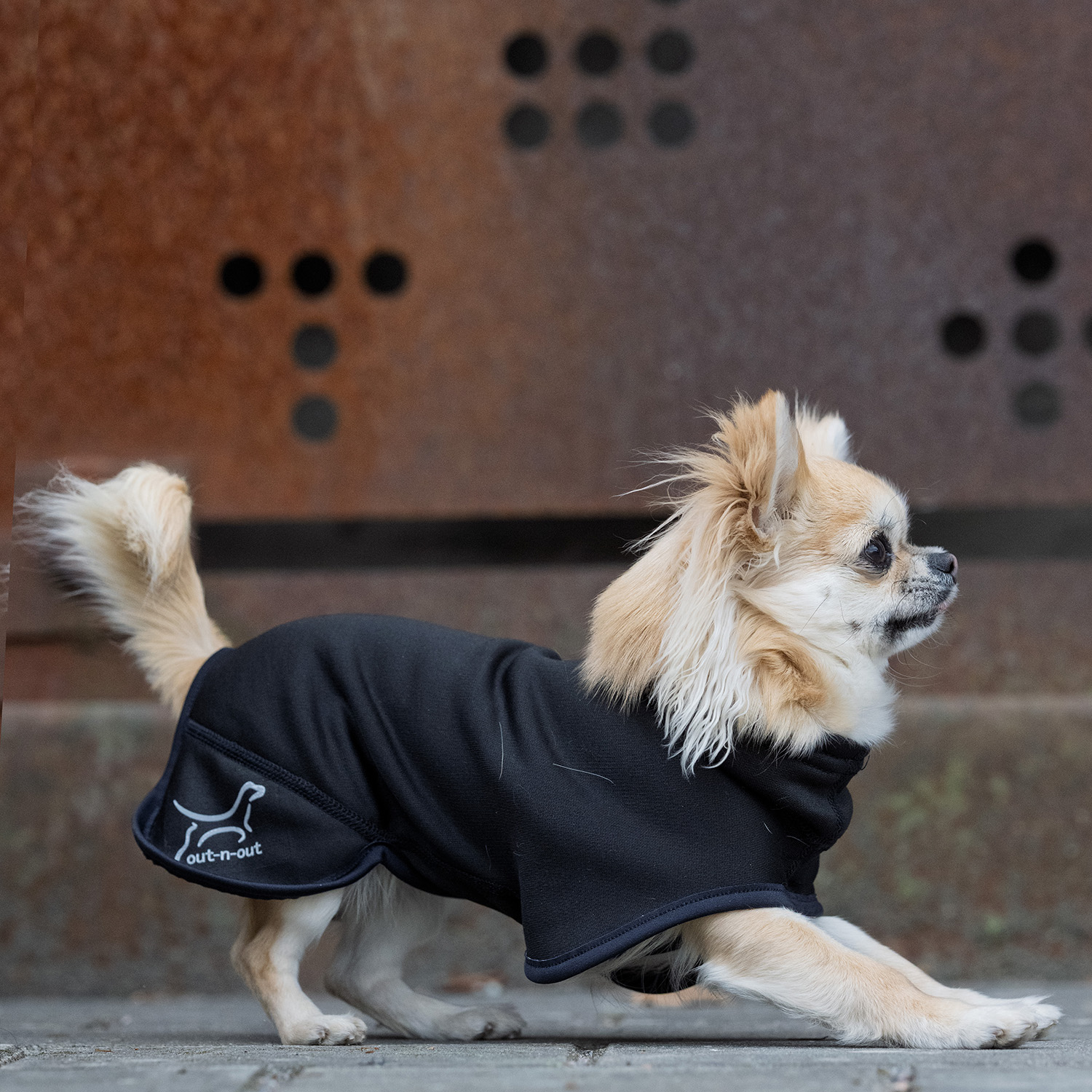 Out-n-out Mini Edit - Woolspeed (47% wool) black - 3