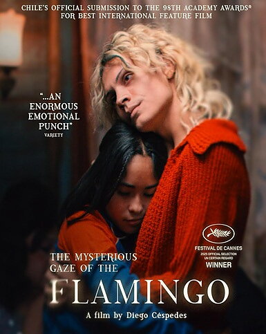 Mysterious Gaze Of The Flamingo (BLU-RAY)
