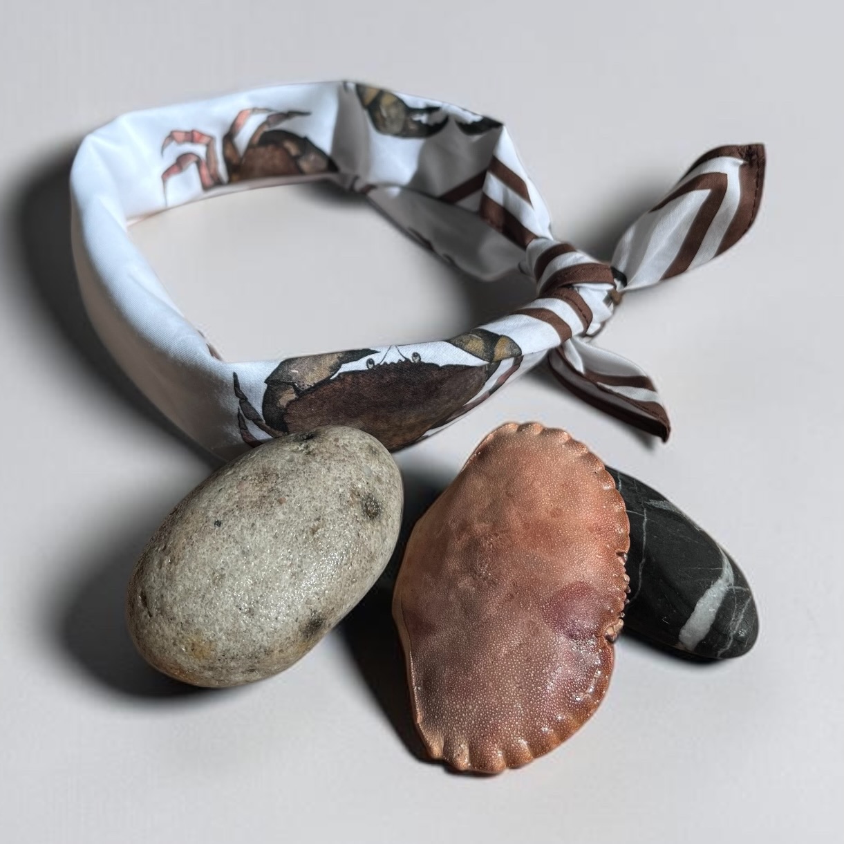 Scarf krabba - 11