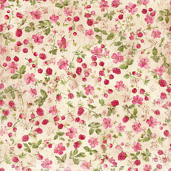Papper Scrapbooking  Reprint - Summer Garden  Raspberries -  12x12 (30,5 x 30,5 cm)