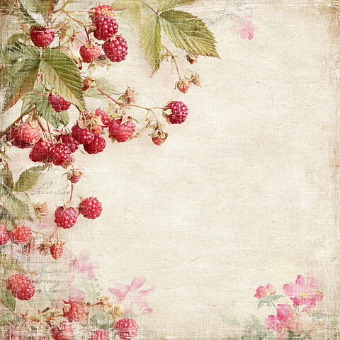 Papper Scrapbooking  Reprint -Summer Garden  Raspberries -  12x12 (30,5 x 30,5 cm)