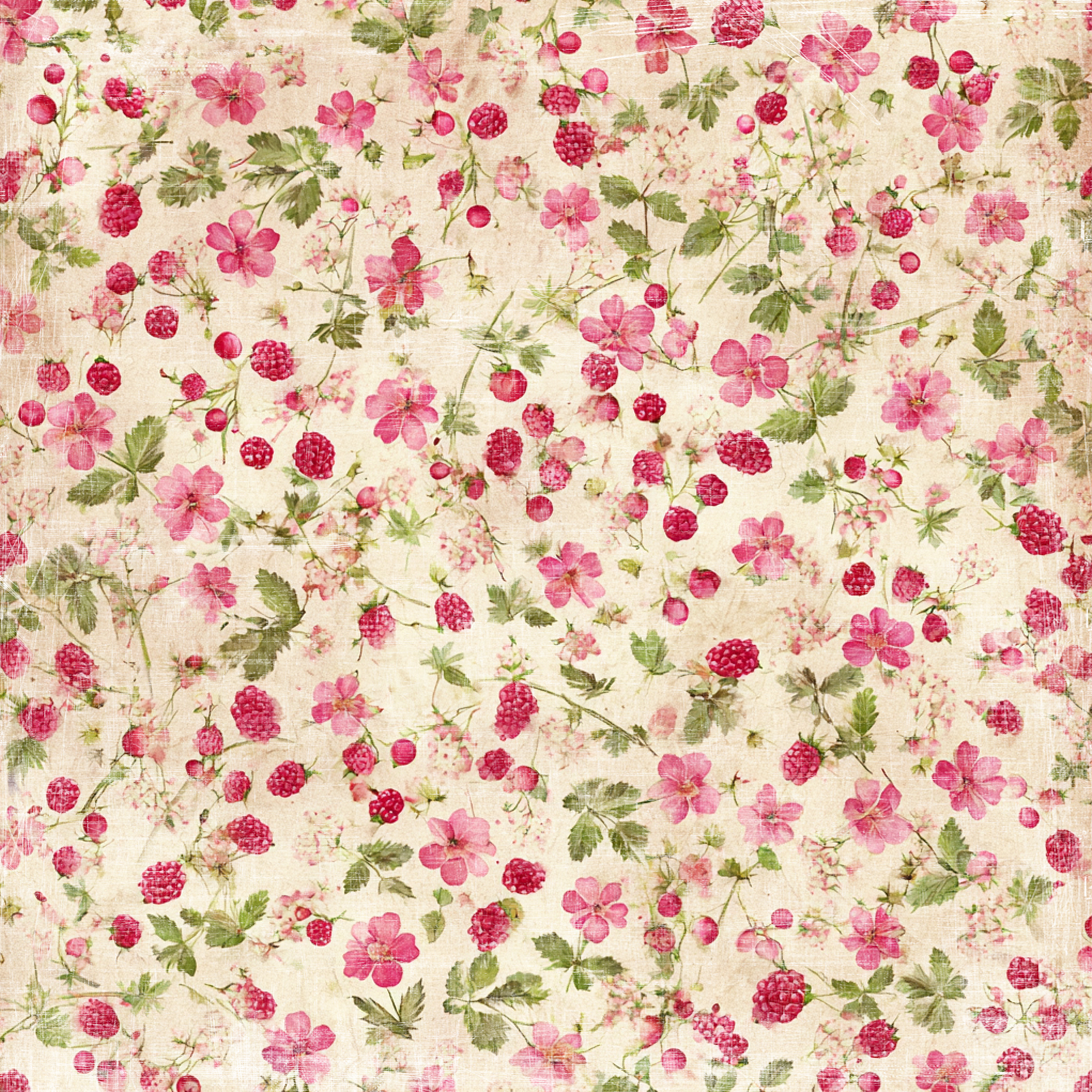 Paperpack Reprint - Summer Garden Collection Paperpack - 12x12 - 7