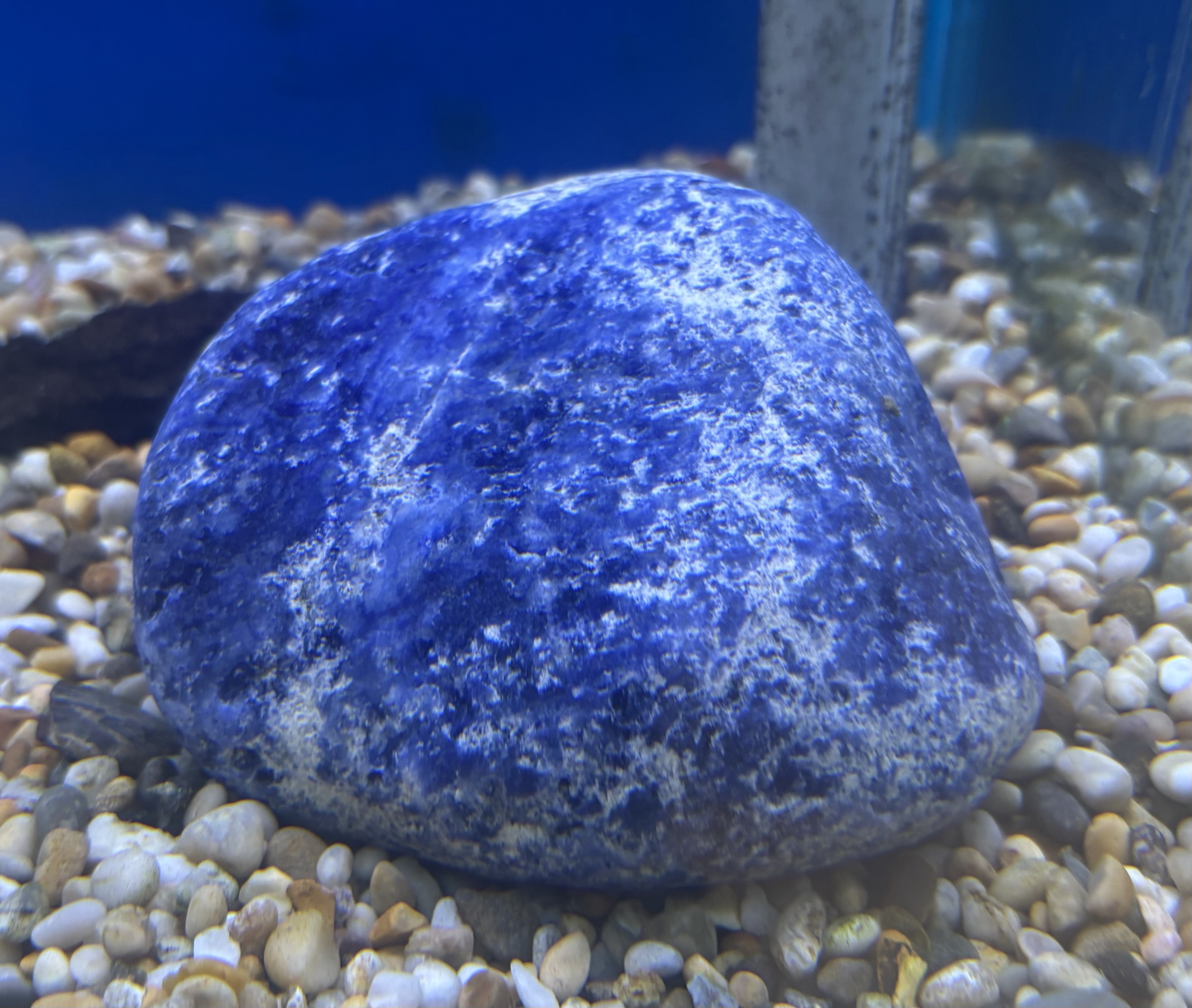 Aquadeco Blue Sodalite 0,8-1,2 kg 1st - 2