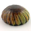 Bengt Berglund (1960s) Unique Green Organic Sculpture 8 cm (1)