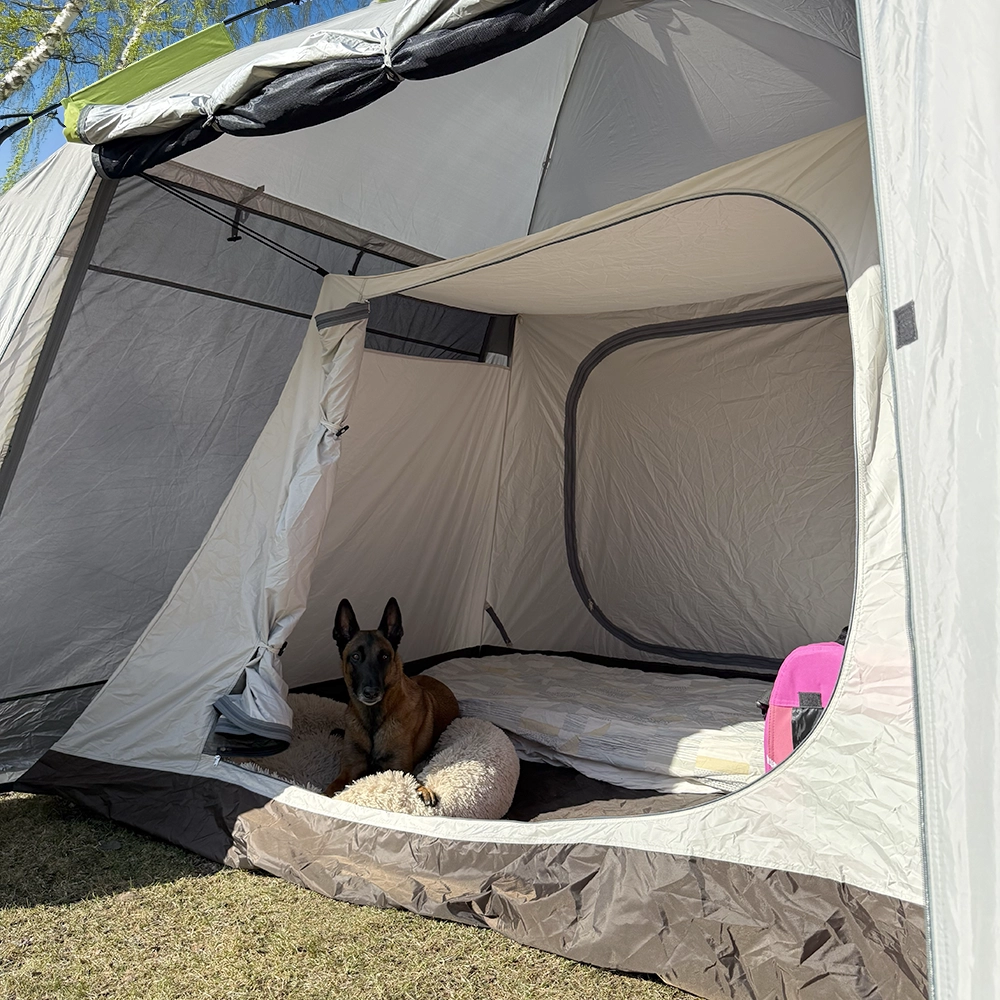 Practical, smart and flexible sleeping tent for agility competitions or dog shows