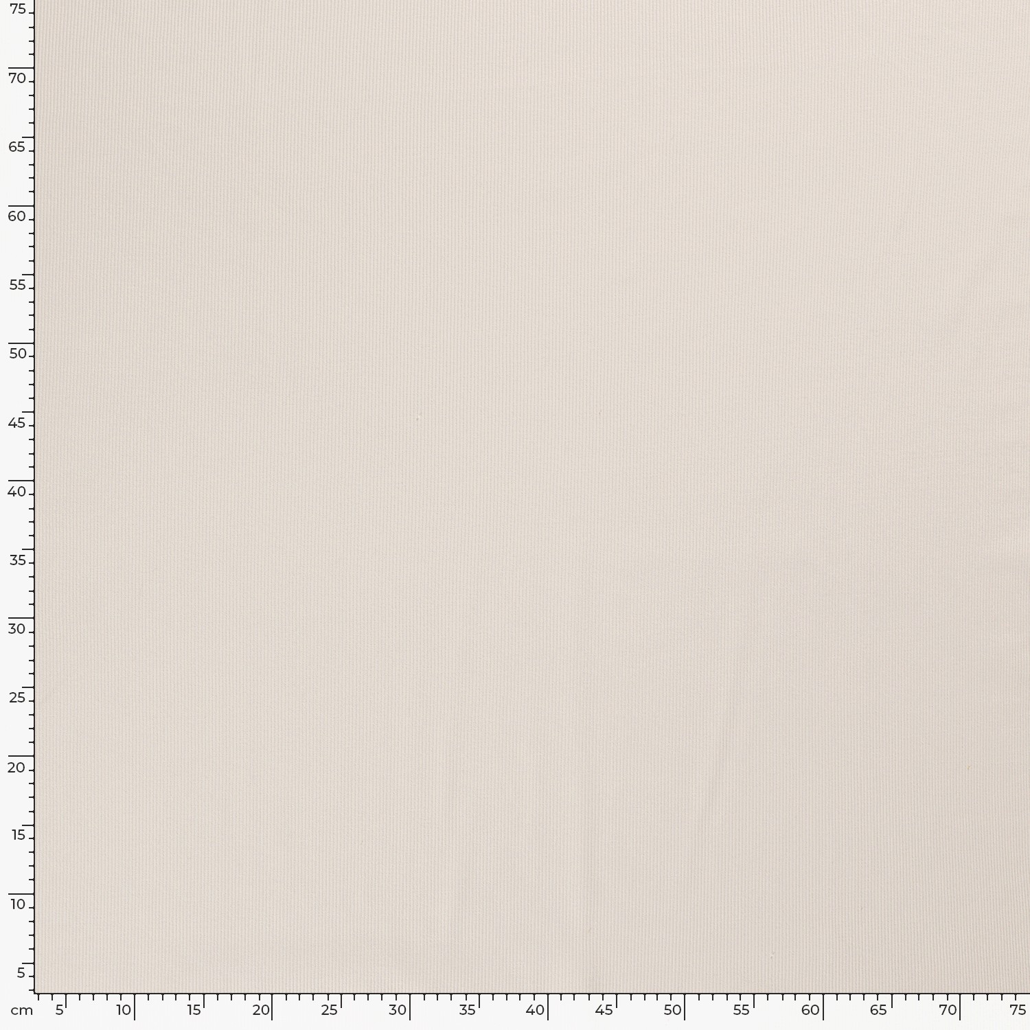 RIBBED JERSEY - CREAM WHITE - 5