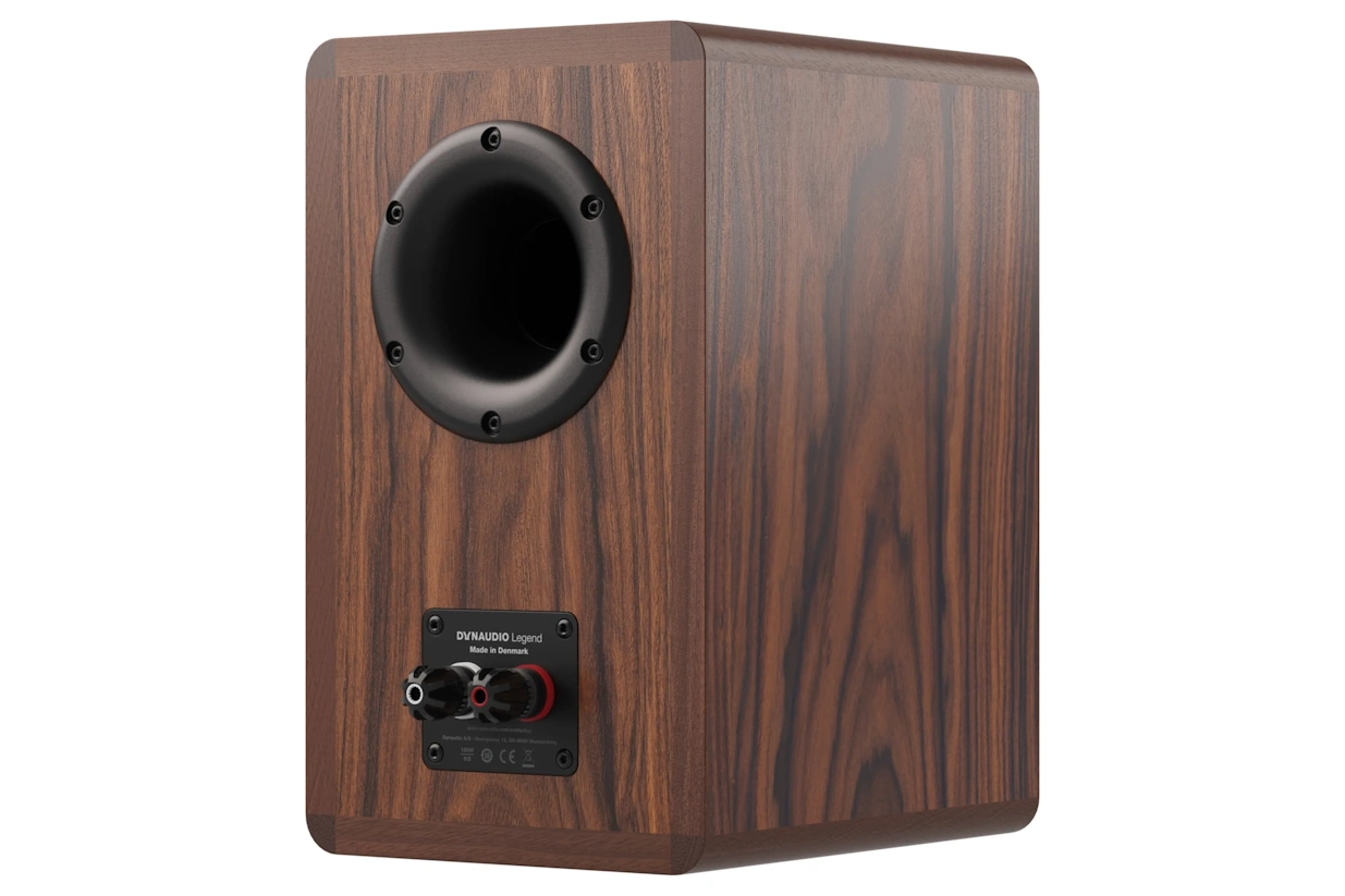 Dynaudio Legend  - 5