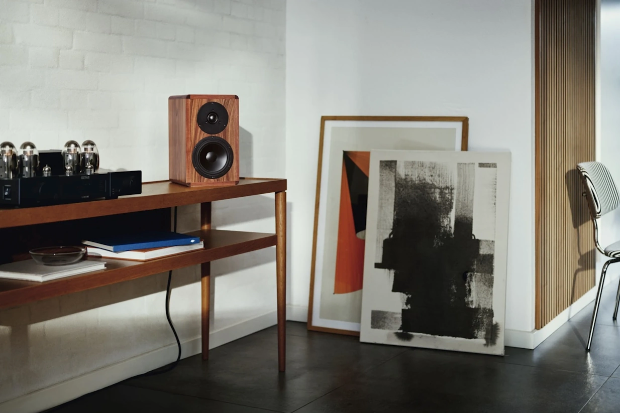 Dynaudio Legend  - 11