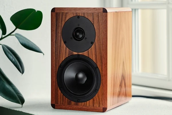 Dynaudio Legend  - 2