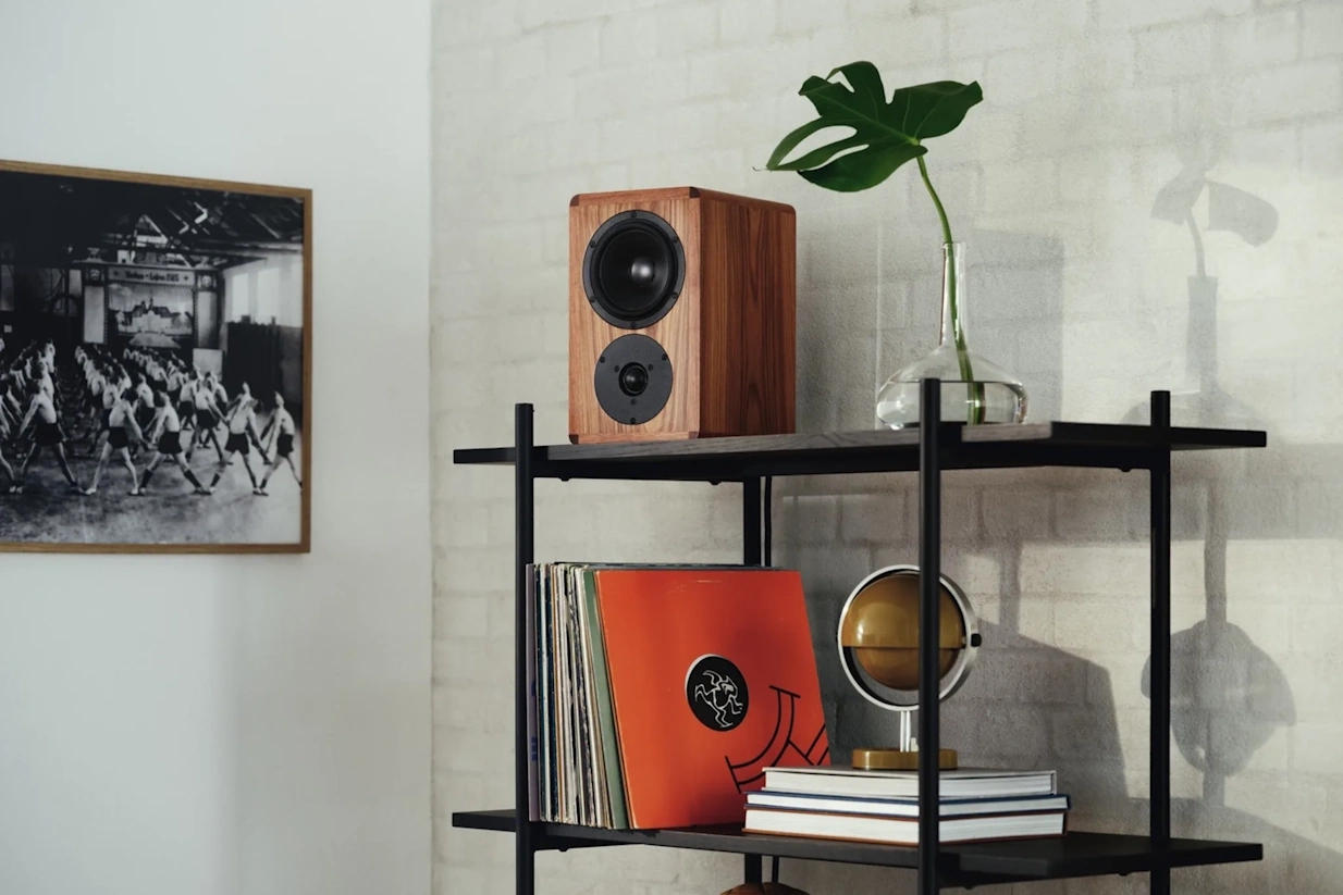 Dynaudio Legend  - 10