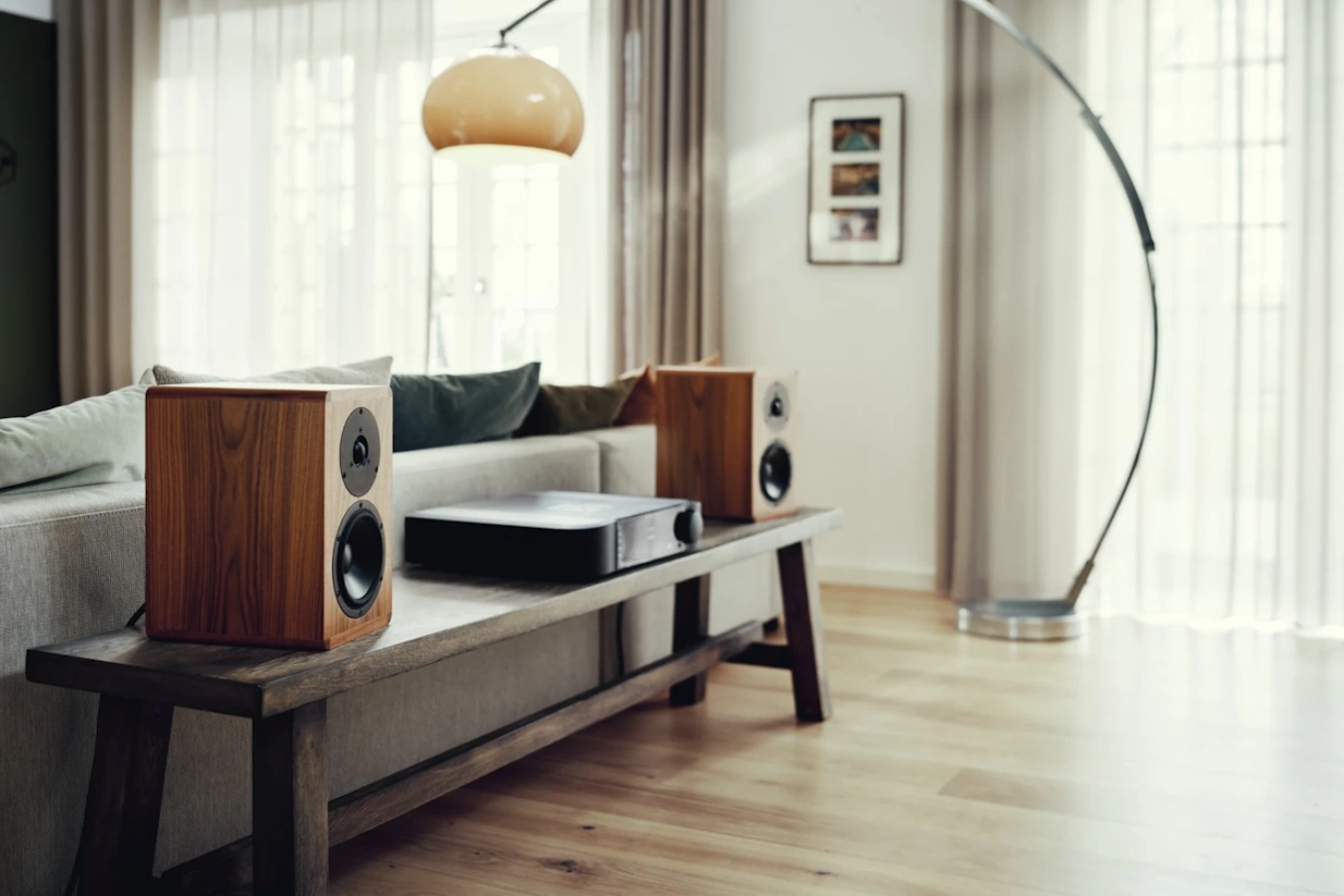 Dynaudio Legend  - 4