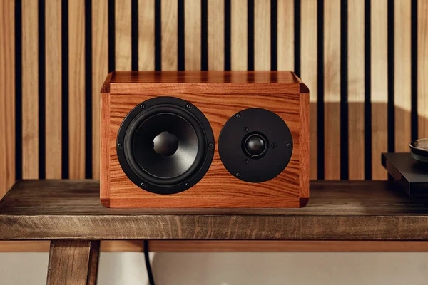Dynaudio Legend  - 3