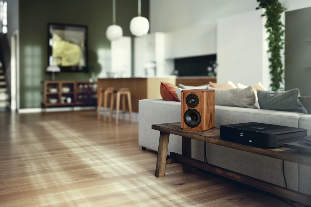 Dynaudio Legend  - 6