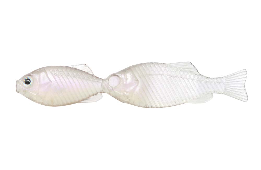 Issei Gill Gill 2.8" 6-pack - 5