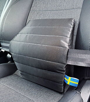 Comfortex CarRest 2.0