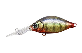 Issei G.C. Kanehira Shad 46 MR-SP