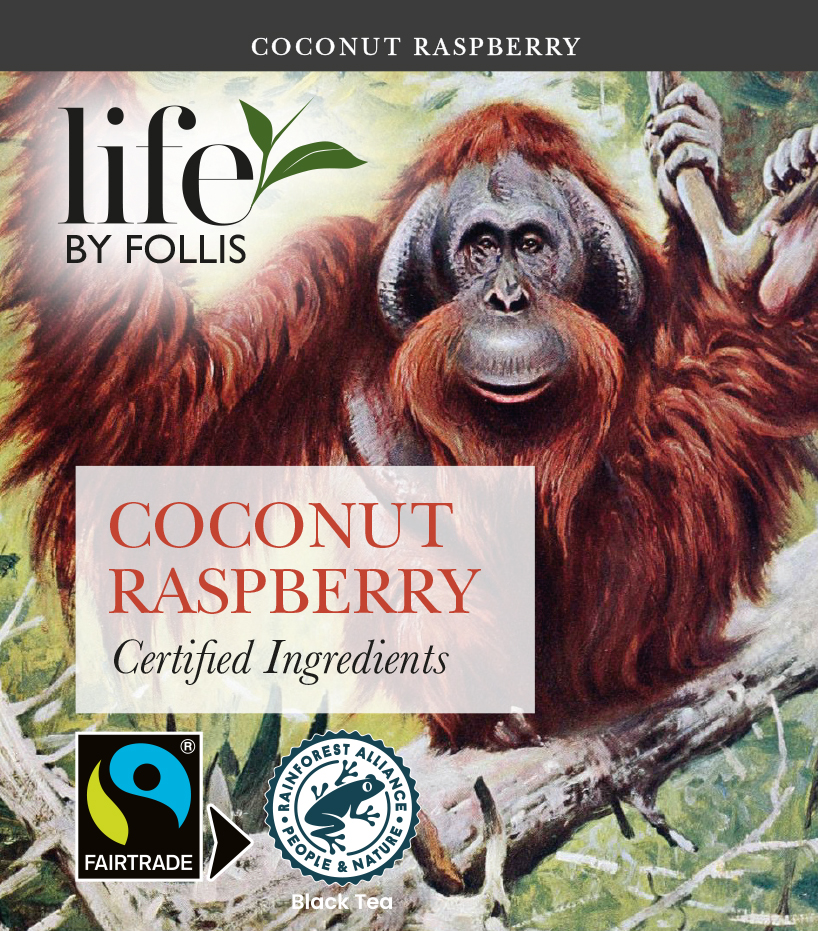 Life by Follis Coconut Raspberry Rainforest Fairtrade - Tepåsar 20-pack - 4