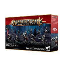 Warhammer 85-66 Daughters of Khaine blood hags