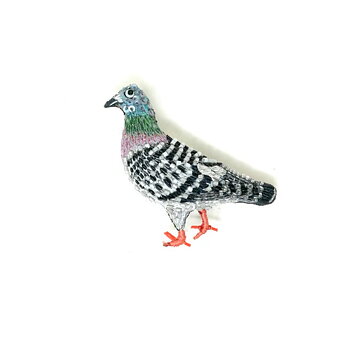 Brosch Homing Pigeon, Trovelore