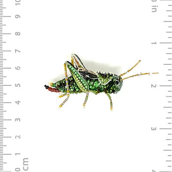 Brosch Two Stripped Grasshopper, Trovelore