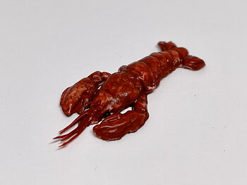 Hummer, 1 st -Sandra Vikström
