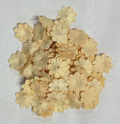 Mini Pappersblommor  20 mm 100 st  Creme