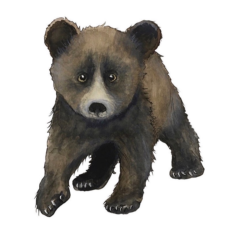 Dreglis björn - 2