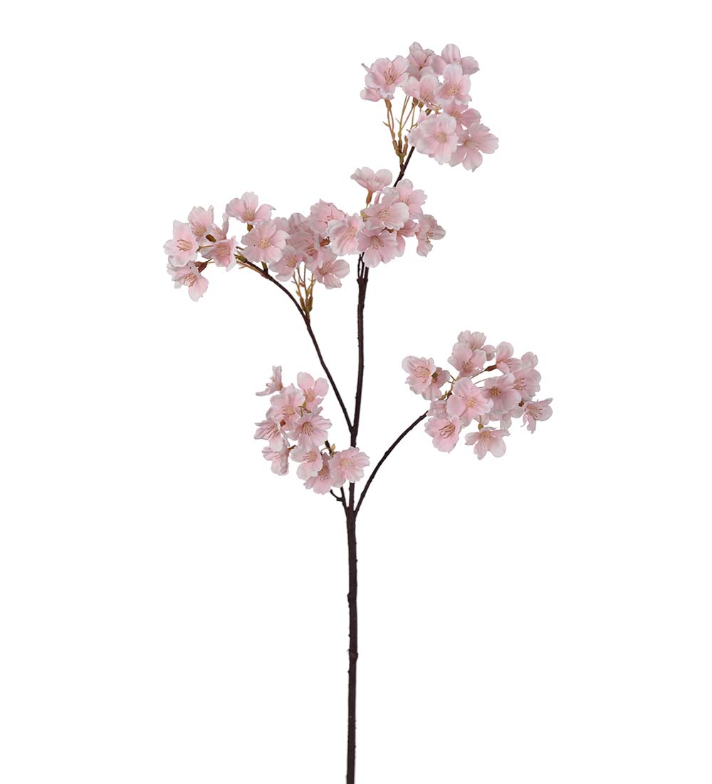 Cherry blossom -  Pink - 90 cm