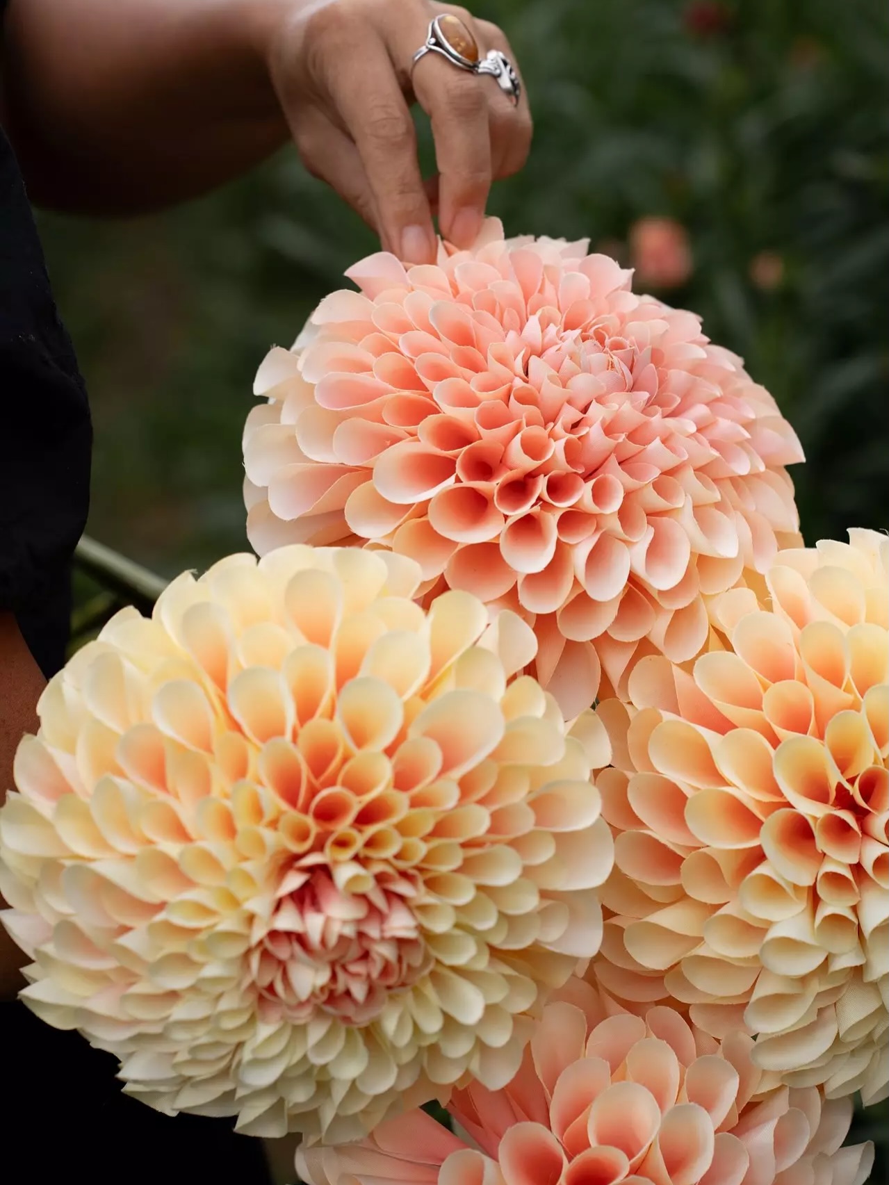 Stor Dahlia Kvist 75x20 cm - Gulrosa - 4