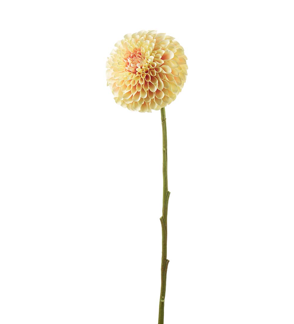 Stor Dahlia Kvist 75x20 cm - Gulrosa - 5
