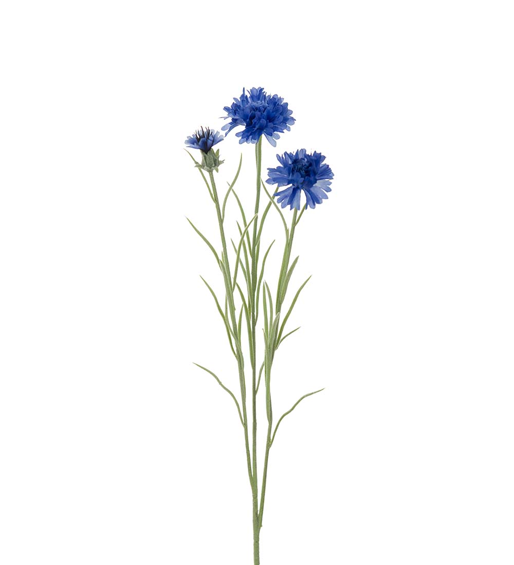 Bluebell - 65 cm