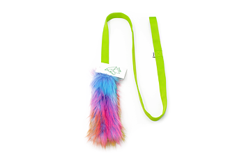 Wdog Rainbowfluff Hunter