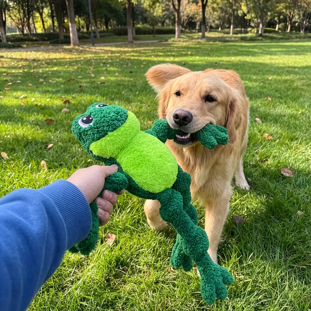 Kong frog cuddly toy for dog