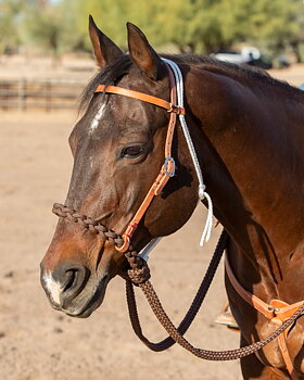 Professional's Choice® Loping Hackamore (inkl. nylontyglar)