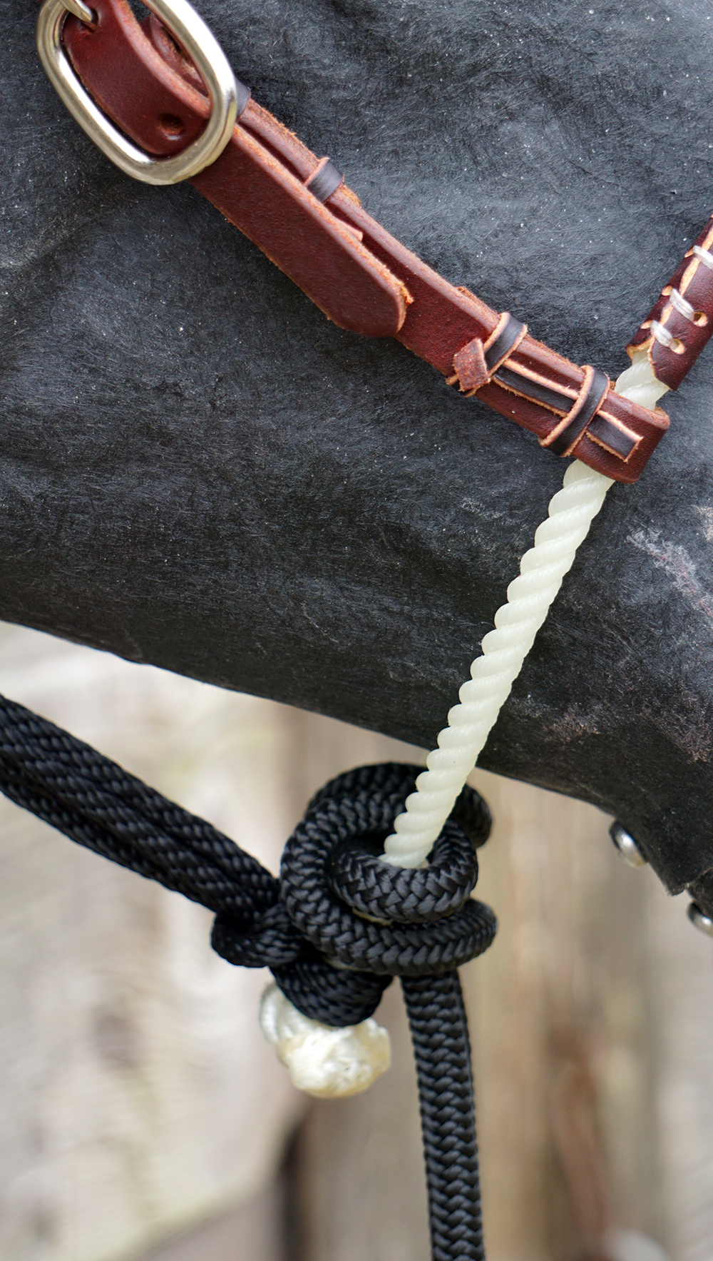 Professional's Choice® Ranch Jr. Horse Loping Hackamore (incl. reins) - 4