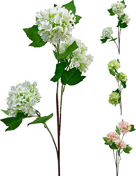 Mini hortensia med 3 blommor
