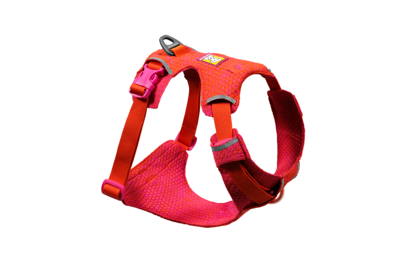 Front Range® Flex Harness-  Rose Violet - 2