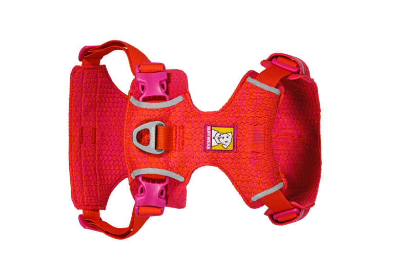 Front Range® Flex Harness-  Rose Violet - 3
