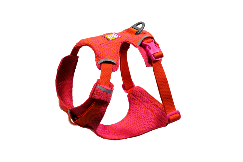 Front Range® Flex Harness-  Rose Violet